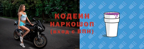 ГАЛЛЮЦИНОГЕННЫЕ ГРИБЫ Козловка
