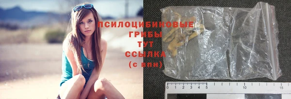 ГАЛЛЮЦИНОГЕННЫЕ ГРИБЫ Козловка