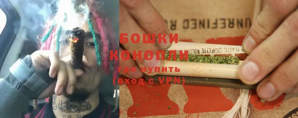 ГАЛЛЮЦИНОГЕННЫЕ ГРИБЫ Козловка
