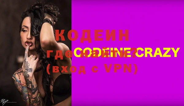 ГАЛЛЮЦИНОГЕННЫЕ ГРИБЫ Козловка