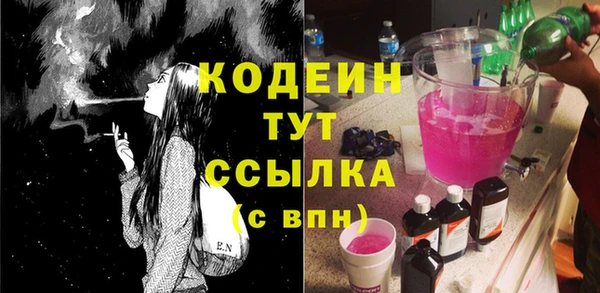 ГАЛЛЮЦИНОГЕННЫЕ ГРИБЫ Козловка