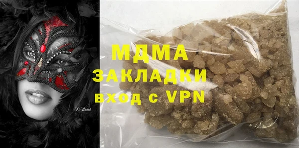 ГАЛЛЮЦИНОГЕННЫЕ ГРИБЫ Козловка