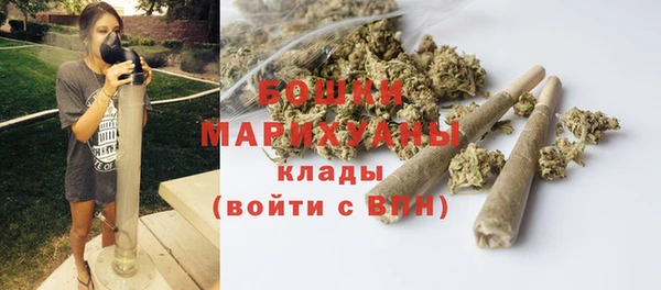 ГАЛЛЮЦИНОГЕННЫЕ ГРИБЫ Козловка